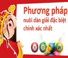 phuong-phap-nuoi-dan-de-hieu-qua